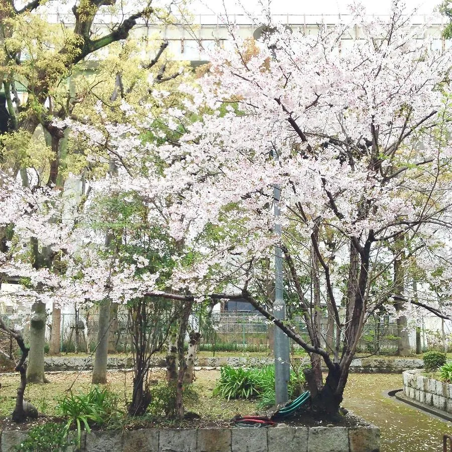 Third&Place Namba_Ashiharabashi/芦原橋 Osaka Tatil Evi